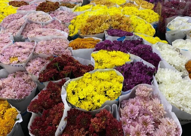 Jakarta International Flower Festival 2026 akan diselenggarkan selama 2 hari tanggal 14-15 Juni 2026