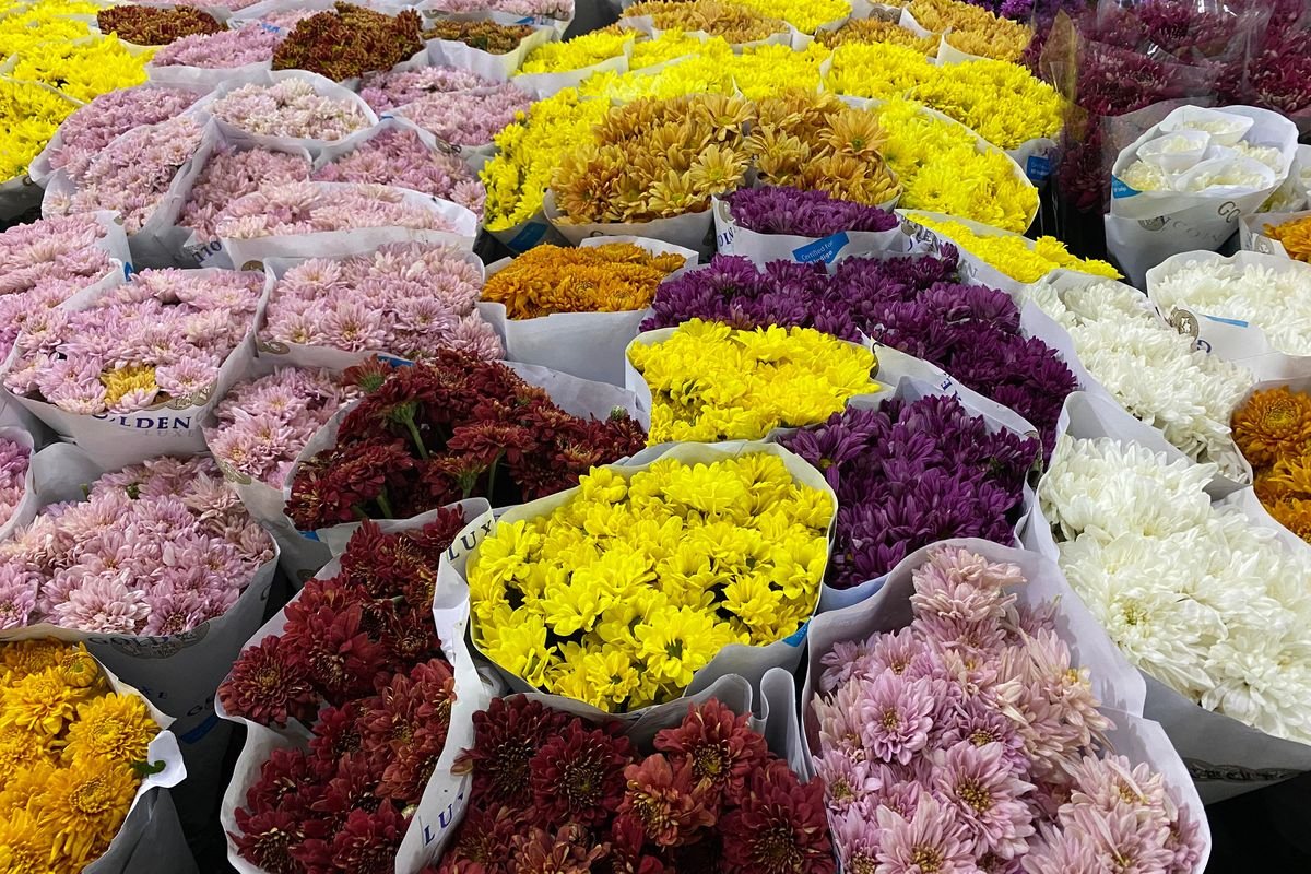 Jakarta International Flower Festival 2026 akan diselenggarkan selama 2 hari tanggal 14-15 Juni 2026